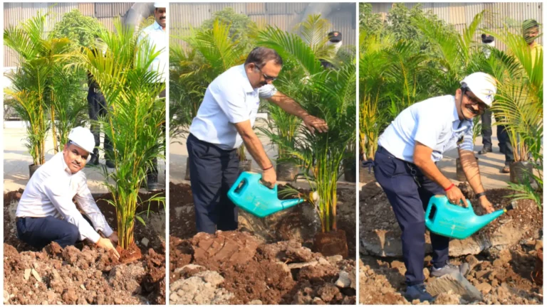 Plantation-at-Plant-3-Campus-1-scaled